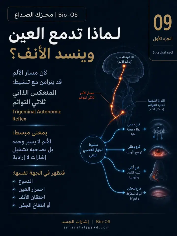 الشريحة 9 من 13: الصداع ليس نوعًا واحدًا