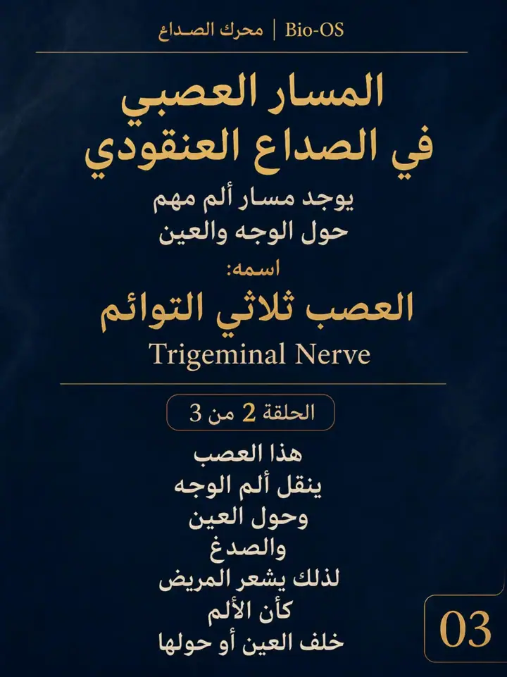 الشريحة 3 من 10: لماذا يحدث الصداع العنقودي؟