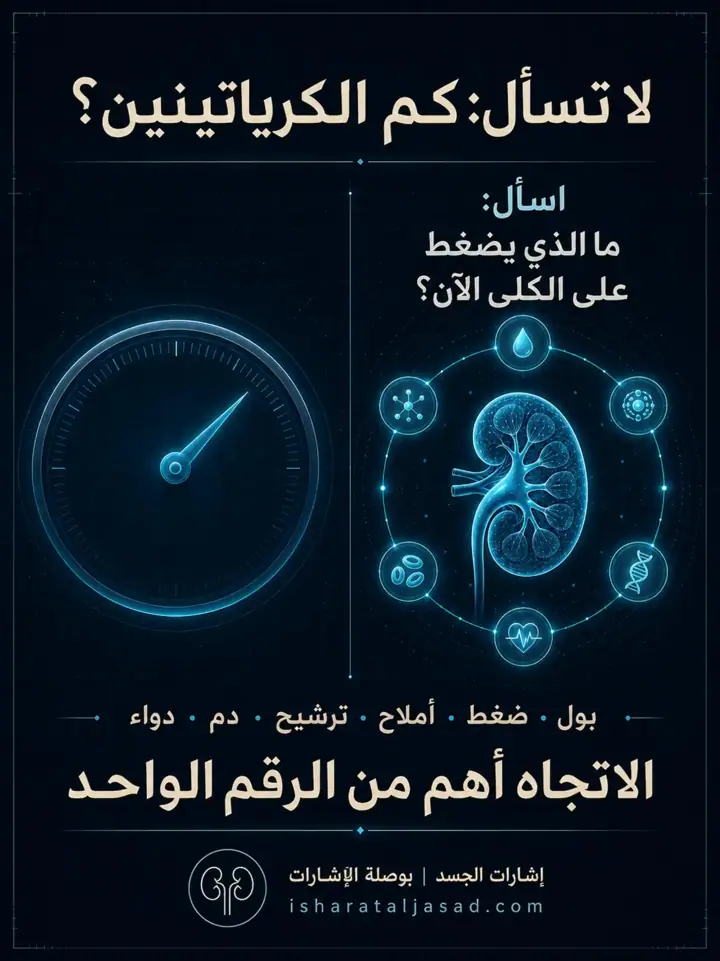 الشريحة 3 من 5: الكلى لا تنهار فجأة