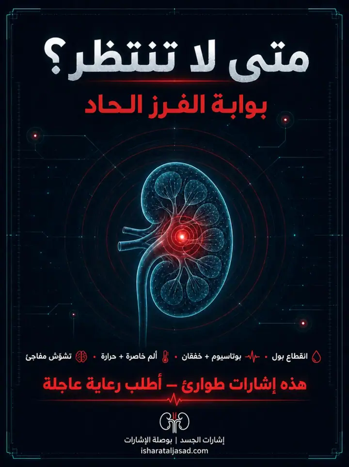 الشريحة 4 من 5: الكلى لا تنهار فجأة