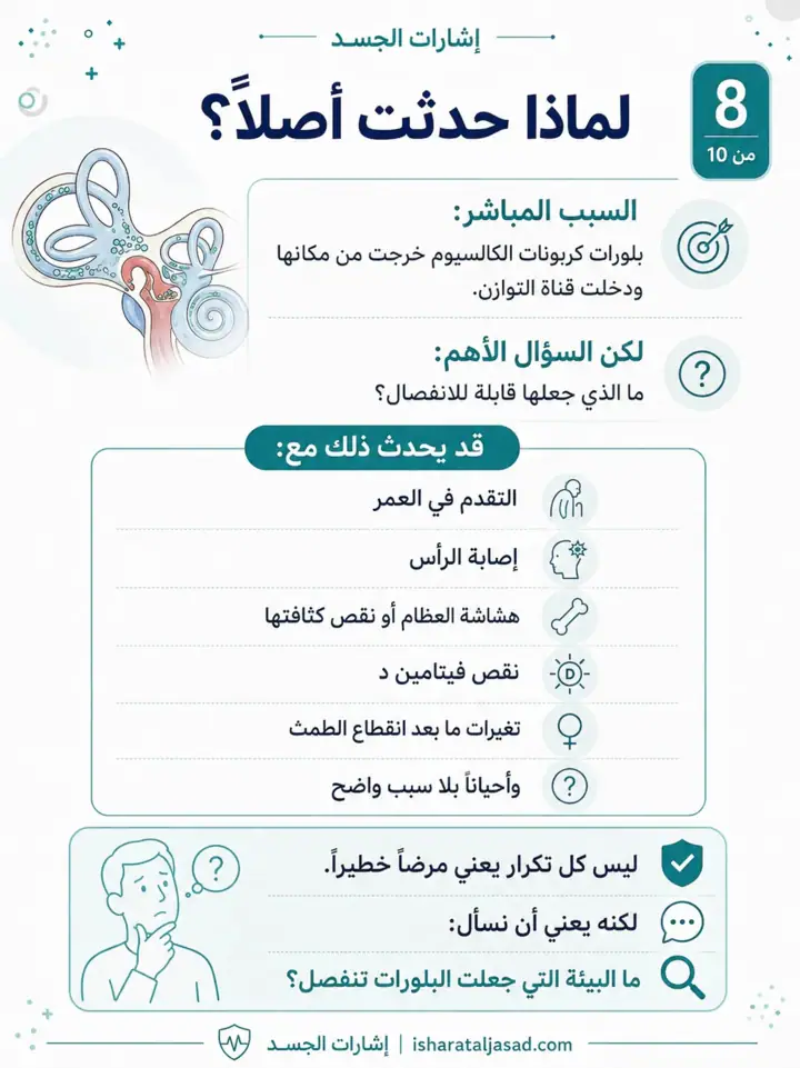 الشريحة 9 من 11: نشرنا عن كريستالات الأذن مرتين من قبل