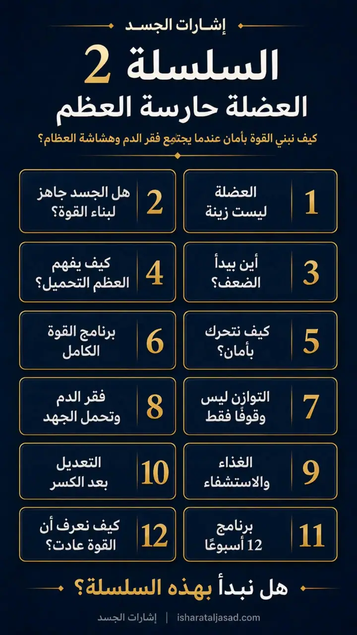 الشريحة 3 من 3: العضلة حارسة العظم