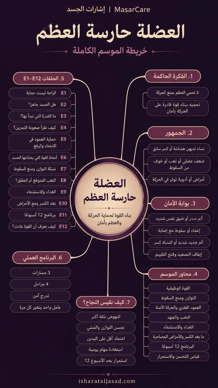الشريحة 1 من 1: العضلة حارسة العظم