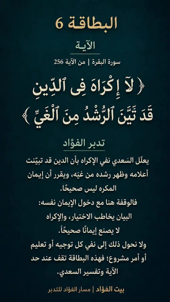 الشريحة 6 من 14: الحزب الخامس: تلك الرسل فضلنا بعضهم على بعض (البقرة 253)
