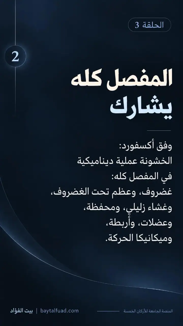 الشريحة 2 من 7: ليست قصة غضروف فقط: خشونة الركبة